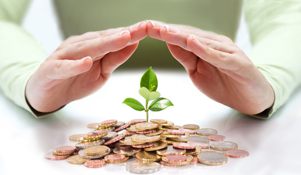 Close up of hands over top of a pile of coins and a sprouting plant