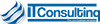 IT Consulting logo