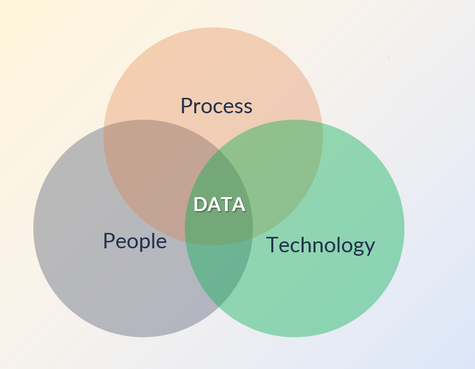 Data Focus for Medicaid Payer Plans